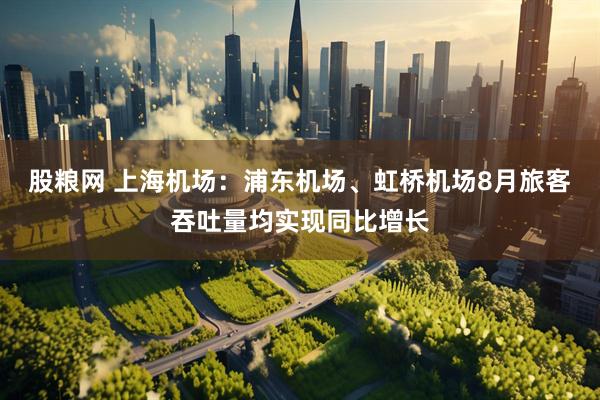 股粮网 上海机场：浦东机场、虹桥机场8月旅客吞吐量均实现同比增长