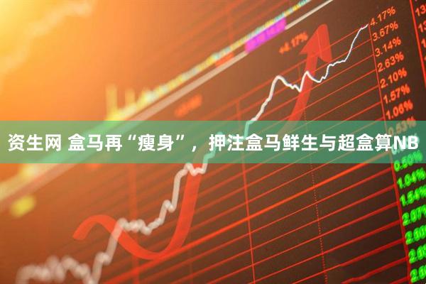 资生网 盒马再“瘦身”，押注盒马鲜生与超盒算NB