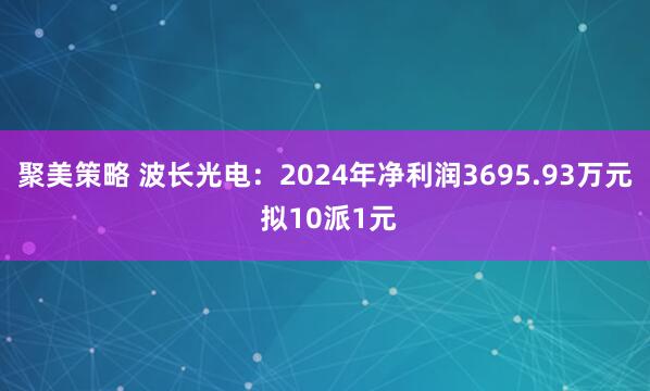 聚美策略 波长光电：2024年净利润3695.93万元 拟10派1元