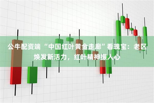 公牛配资端 “中国红叶黄金走廊”看瑰宝：老区焕发新活力，红叶精神振人心