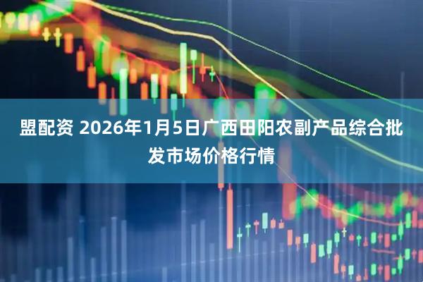 盟配资 2026年1月5日广西田阳农副产品综合批发市场价格行情