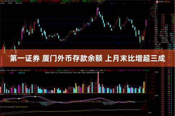 第一证券 厦门外币存款余额 上月末比增超三成