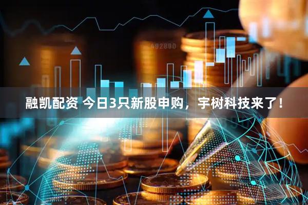 融凯配资 今日3只新股申购，宇树科技来了！