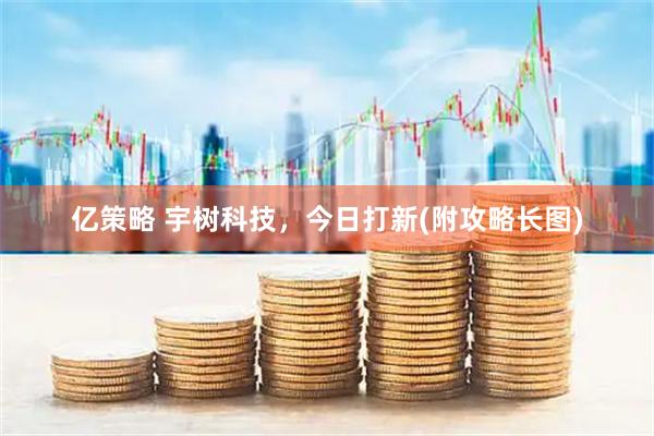 亿策略 宇树科技，今日打新(附攻略长图)